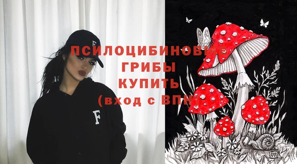 spice Бронницы