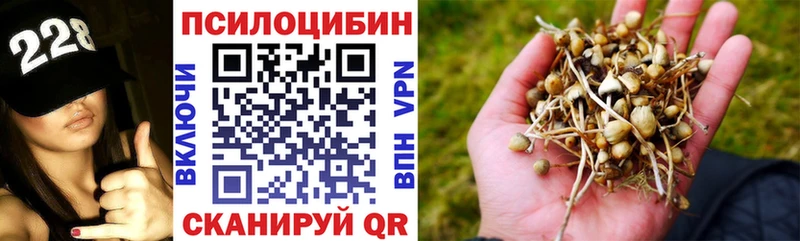 Галлюциногенные грибы Psilocybe  Ростов 