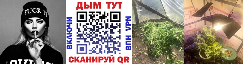 Бошки марихуана индика  Ростов 